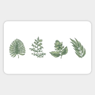 Photosynthesis Gworl Sticker